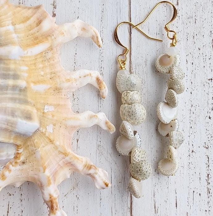 Shell Earrings |Umbonium | Mother Of Pearl | Gold | Silver | Dangle Earrings (Pack of 3) SRP $10.00